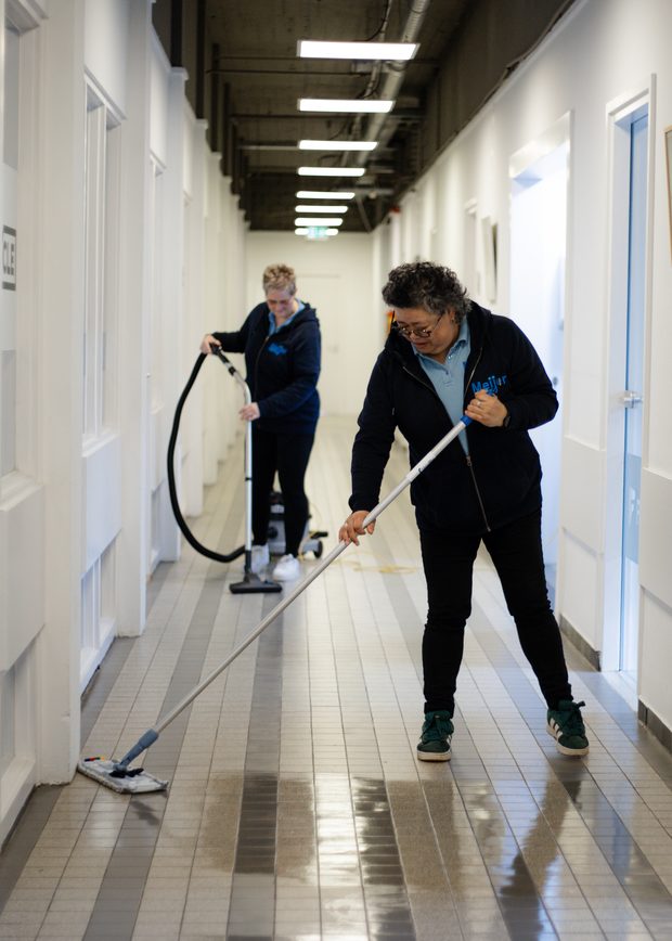 Periodieke schoonmaak